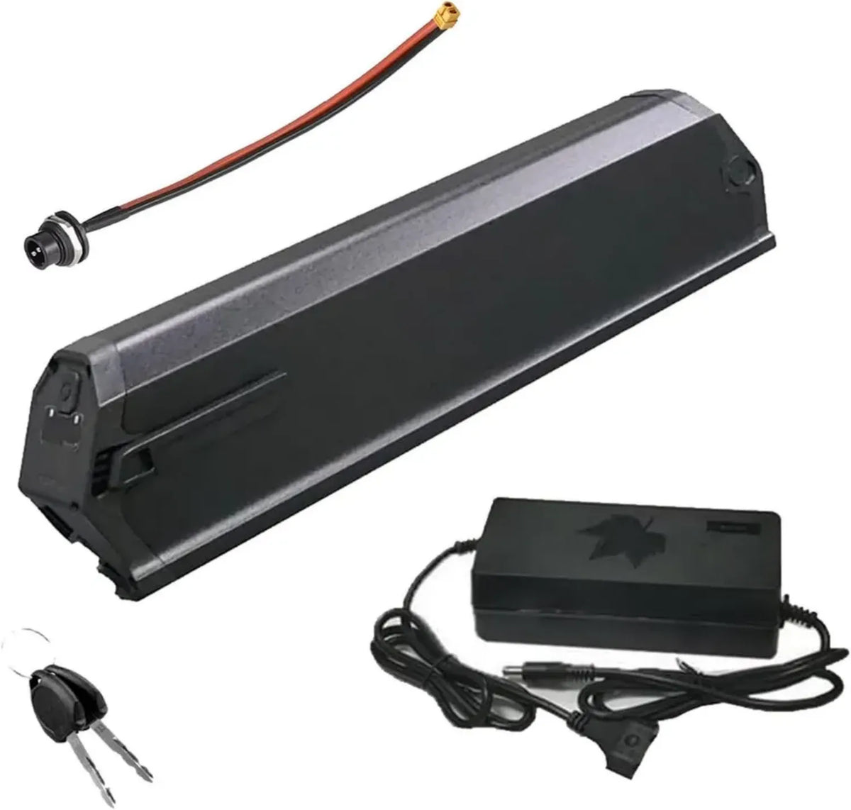 Batteria al Litio 48V per E-bike con Caricatore e USB